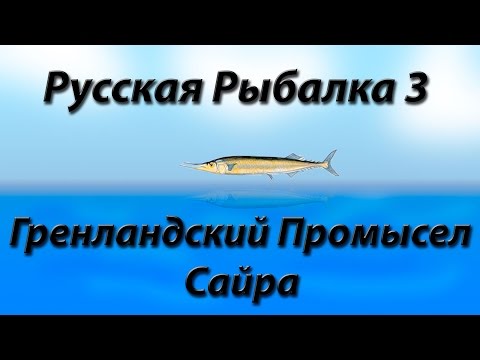 Видео: Гренландский Промысел Сайра