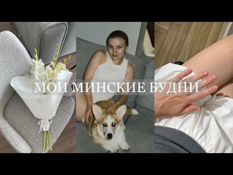 Видео: мои Минские будни: у нас появилась собака, мероприятие по голосу, ресторан АМО!