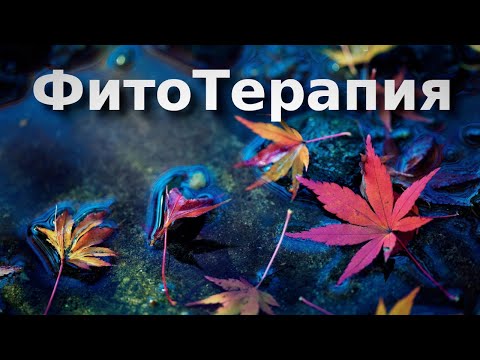 Видео: Фитотерапия в аквариуме: листья, шишки и отвары