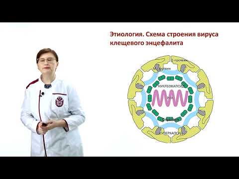 Видео: Клещевой энцефалит Ч.1