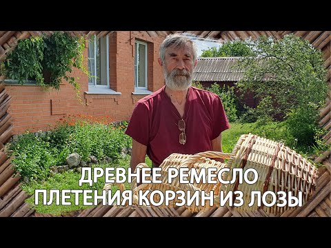 Видео: Древнее искусство плетения корзин из лозы | Плетение - древнейшее ремесло в мире
