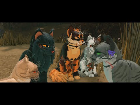 Видео: Тайна забытого воина, серия 2