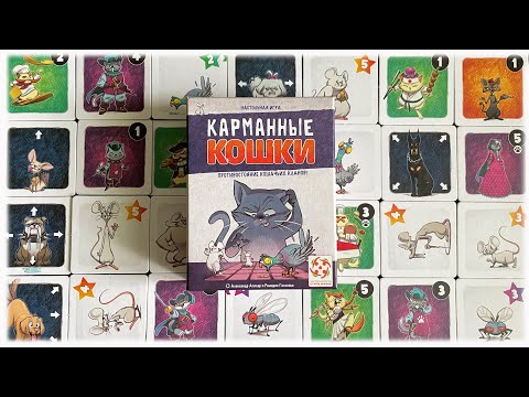 Видео: Карманные кошки. Настольная игра. Правила.