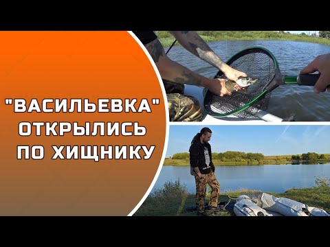 Видео: ВАСИЛЬЕВКА. ОТКРЫЛИСЬ ПО ХИЩНИКУ