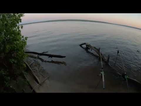 Видео: Рыбалка на Сурском водохранилище длинной в 5дней! Часть 1.