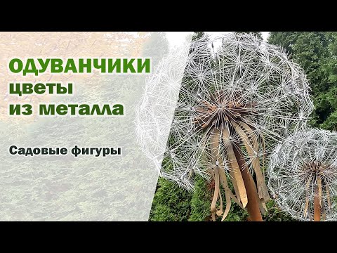 Видео: ОДУВАНЧИКИ из металла I САДОВЫЕ ФИГУРЫ I Цветы из металла для сада
