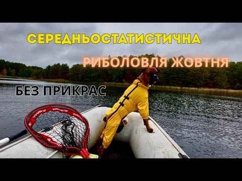 Видео: 27 октября 2025 г.