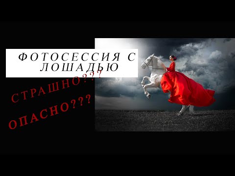 Видео: Фотосессия с лошадью. Опасно ли фотографироваться с лошадьми?