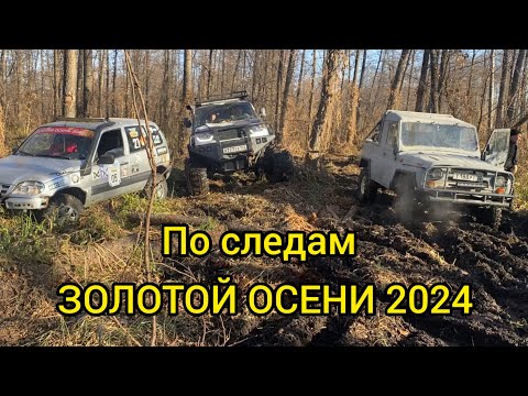 Видео: По следам Золотой осени 2024. Дорога, которой больше нет #трофи #бездорожье #offroad #4х4 #уаз #нива