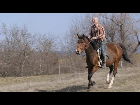 Видео: Пасищни неволи: Как общините избягват предимството на досегашния ползвател?