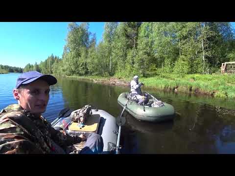 Видео: Хариус на спиннинг. Рыбалка на реке.