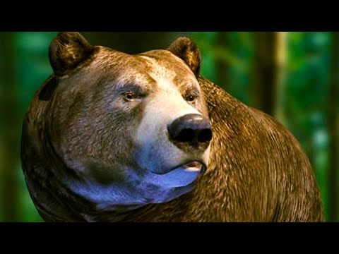 Видео: Симулятор Мишки #1 Bear Simulator с Кидом на пурумчата