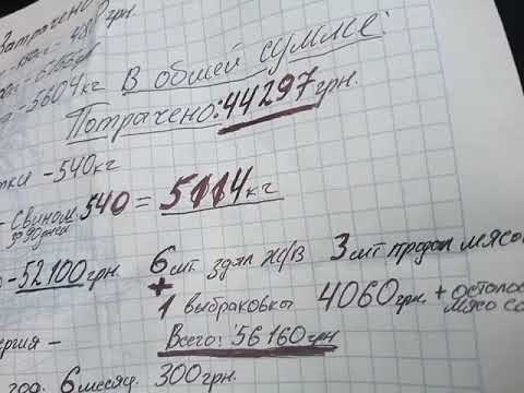 Видео: Какой Доход с Одной Свиньи?