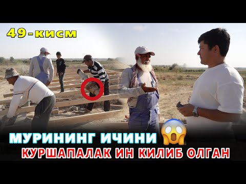 Видео: КАРОВСИЗ КОЛГАН ОИЛА 49-КИСМ БАРЧАМИЗ ТОМДАН  ТУШИБ КЕТАРДИК!