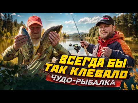 Видео: ВСЕГДА БЫ ТАК КЛЕВАЛО. ЧУДО-РЫБАЛКА