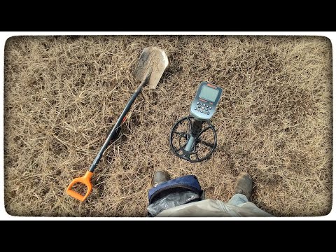 Видео: FrogMan T90. Первый коп 2023 и пол деньги на китайский металлоискатель от GoldHunter
