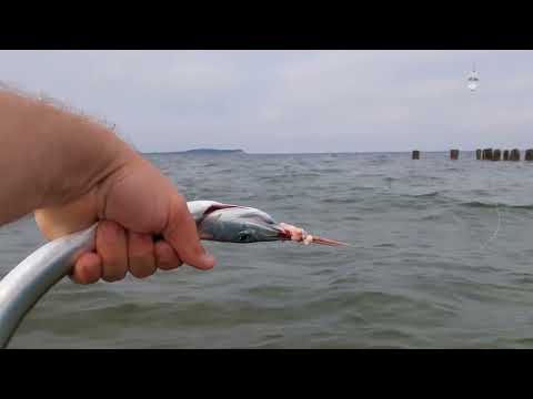 Видео: Ловим саргана ( Hornhecht ) в Германии на Балтийском море Остров Рюген Май 2025