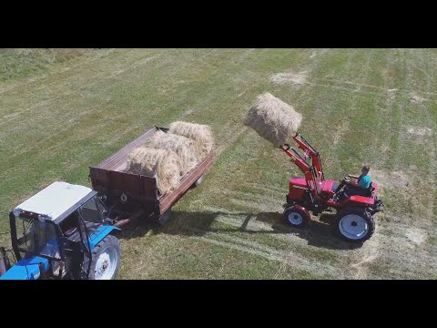 Видео: Погрузчик (КУН) на Т-25 Фаворит-500 Палехагромаш