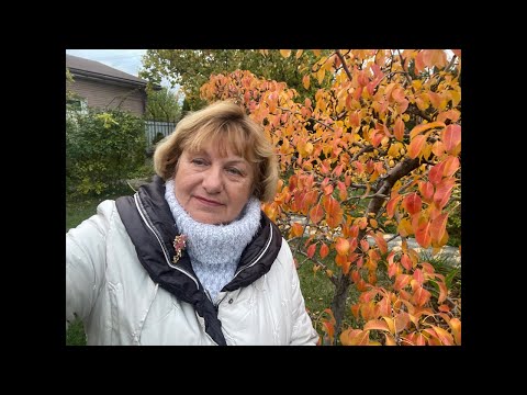 Видео: Сначала мне все нравилось …