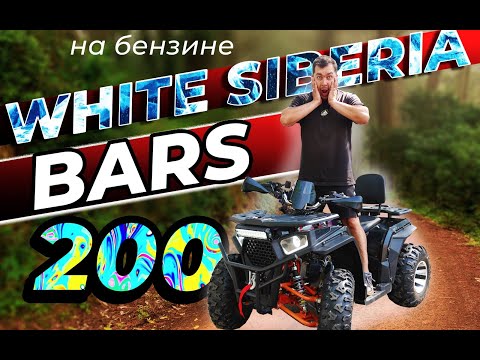 Видео: Квадроцикл White Siberia BARS 200CC мощный и бюджетный