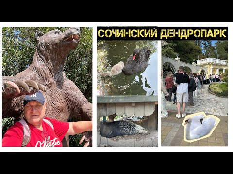 Видео: Сочинский Дендрарий + много птиц 🦆🪿🐦🐦‍⬛🌺🪷