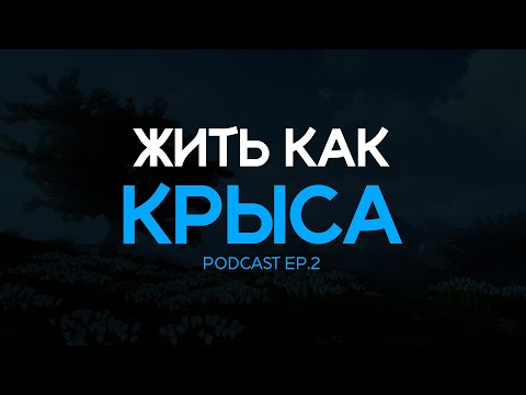 Видео: Жить как крыса