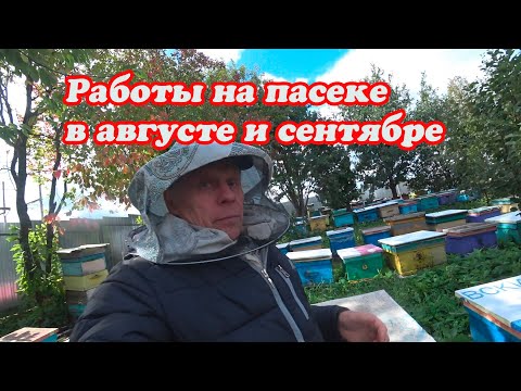 Видео: КАКИЕ РАБОТЫ БЫЛИ СДЕЛАНЫ НА ПАСЕКЕ В АВГУСТЕ И КАКИЕ ПРЕДСТОЯТ В СЕНТЯБРЕ