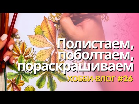 Видео: Новые выкраски, планы на месяц, раскрашиваю Animaux des bois | Хобби-влог 26