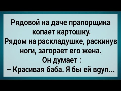 Видео: Как Рядовой На Даче с Женой Прапорщика Отдыхал! Сборник Свежих Анекдотов! Юмор!