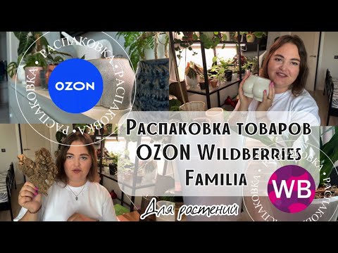 Видео: РАСПАКОВКА ТОВАРОВ для растений | OZON | WiLDBERRIES | НОВЫЕ КАШПО | Familia