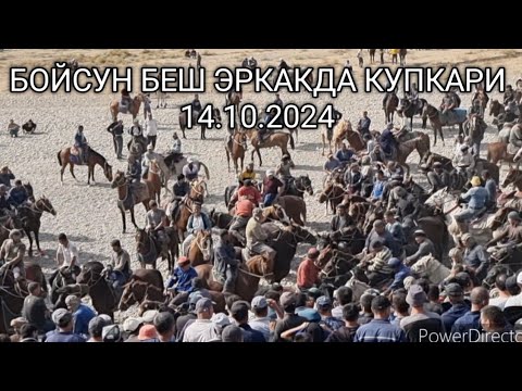 Видео: БОЙСУН БЕШ ЭРКАКДА КУПКАРИ 14.10.2024