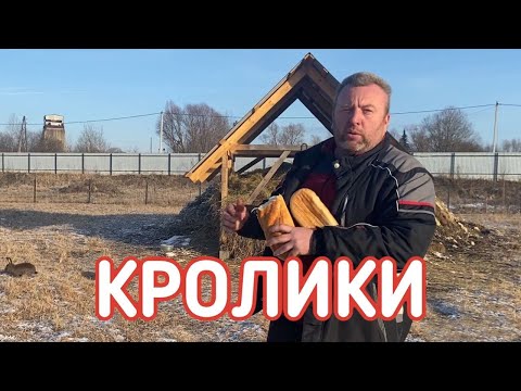 Видео: РАЗВЕДЕНИЕ КРОЛИКОВ В ВОЛЬЕРАХ И КУЧАХ ИЛИ В УСЛОВИЯХ, ПРИБЛИЖЕННЫХ К НАТУРАЛЬНЫМ