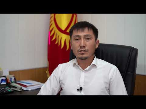 Видео: Юристтен кенеш. Акысыз Юридикалык жардам