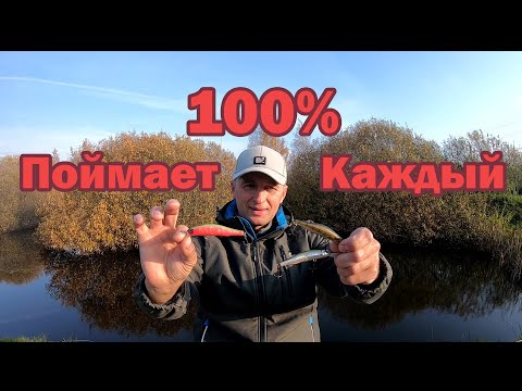 Видео: С ним ПОЙМАЕТ КАЖДЫЙ! САМЫЕ мои УЛОВИСТЫЕ  Воблеры на Щуку. Воблер на Щуку .  Твичинг для начинающих