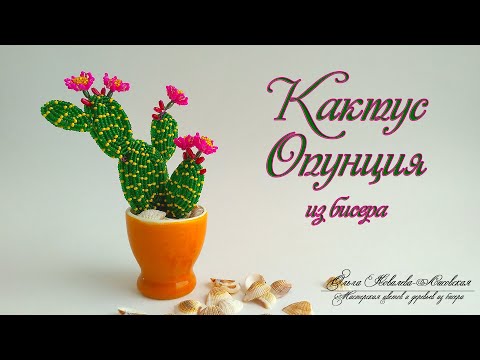 Видео: МК / КАКТУС ОПУНЦИЯ из бисера/ Мастер-класс Ольги Ковалевой-Лисовской  / Цветы из бисера