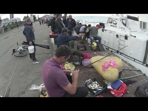 Видео: Батуми.Грузия.КАК МЫ ЛОВИМ КЕФАЛЬ.Морская рыбалка.