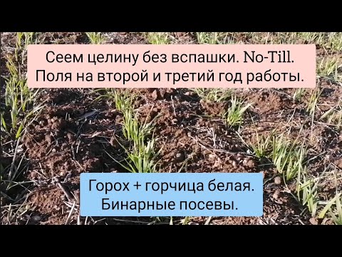 Видео: Вводим в оборот заброшенные земли. No-Till. Поля на второй и третий год наглядно.