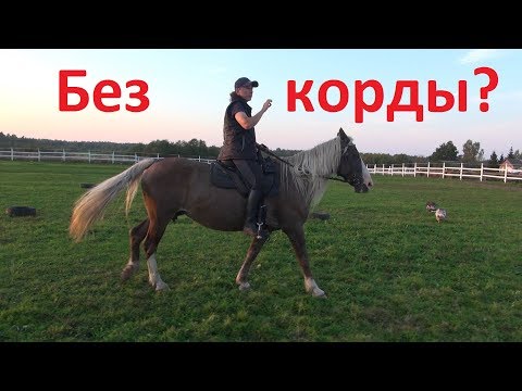 Видео: Первые уроки ВЕ. Почему без корды? Разберёмся.