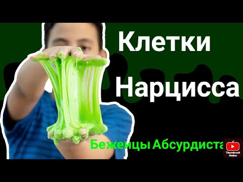 Видео: Клетки Нарцисса