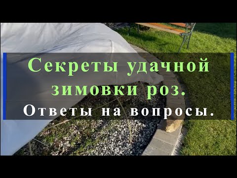 Видео: Секреты удачной зимовки роз. Ответы на вопросы. Питомник растений Е. Иващенко