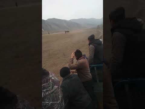 Видео: Кара-Кокту