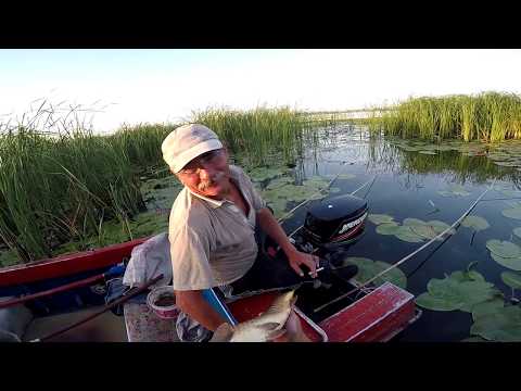 Видео: Урод на 6 минуте переехал удочки Встреча С МИХАЛЫЧЕМ .