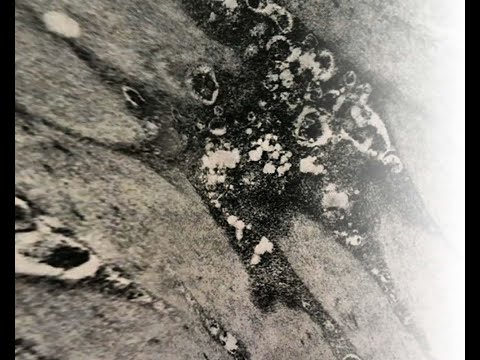 Видео: "Окрашивание седых волос"