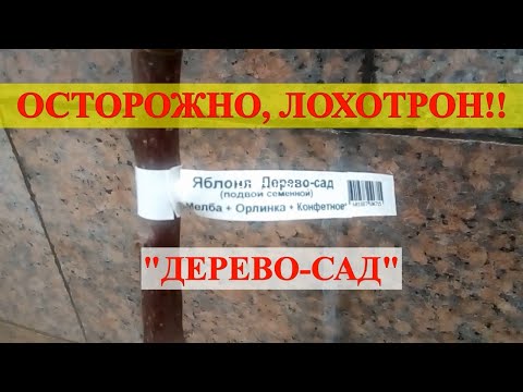 Видео: "Дерево-сад" - очередной лохотрон от садовых магазинов