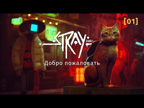 Видео: Stray | 01 | Добро пожаловать