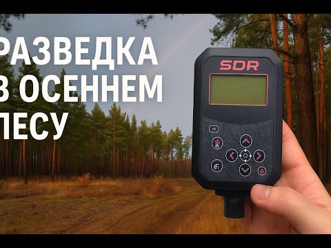 Видео: SDRDetector  разведка