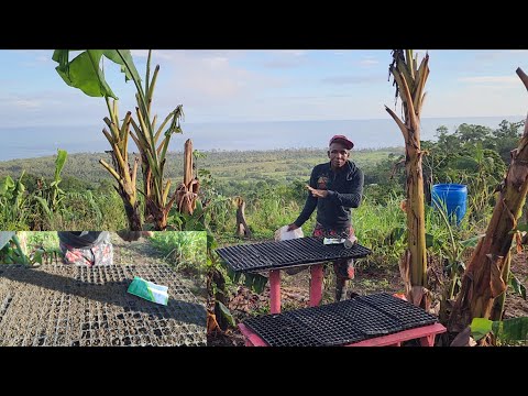 Видео: Подготовка к посадке и призыв к людям сажать растения прямо сейчас.