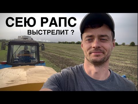Видео: От посева до всходов. РАПС. Кто ВРЕДИТЕЛЬ? 