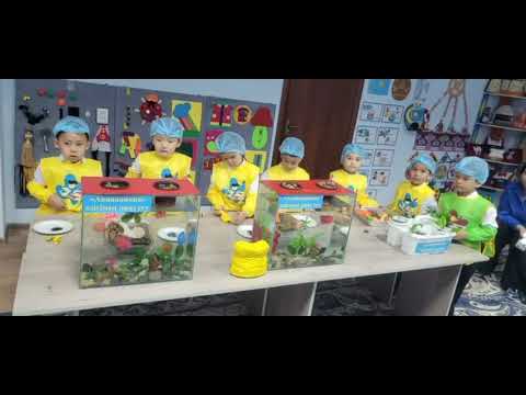 Видео: 7 ноября 2025 г.