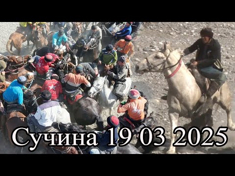 Видео: Бузкашии д Сучина 19 03 2025 кисми 1. UMED VIDEO.  Tajikistan.  Zarafshon.